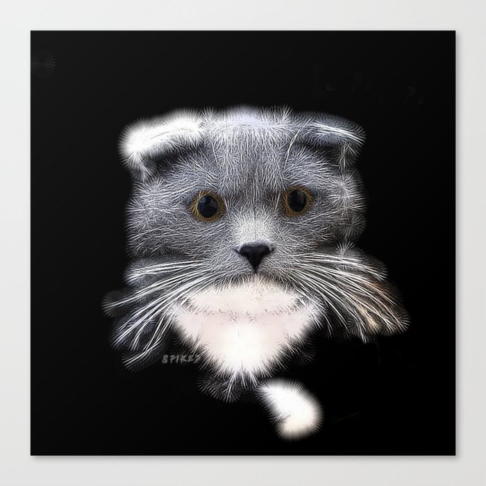 Spiked Grey and White Cat Canvas Print