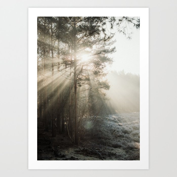 Sun Rays in the forest | Misty sunny morning | Trees and light | Travel nature photography Art Print