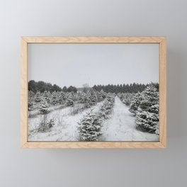 Tree Farm Framed Mini Art Print