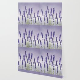 Lavender 2 Wallpaper
