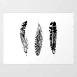 Feather Trio | Three Feathers | Bird Feathers | Black and White | Art Print