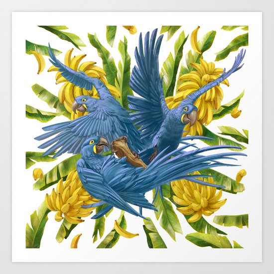 Hyacinth macaws and bananas Stravaganza. Art Print