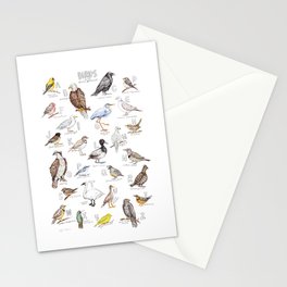 Birds of the Pacific Northwest Stationery Card