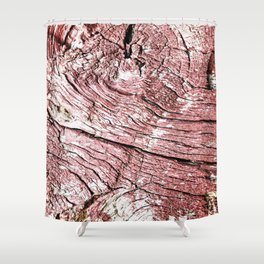 Texture design of an old rotten wood, badly cracked with time Shower Curtain