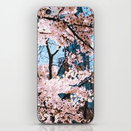New York City cherry blossom trees during spring in Central Park iPhone Skin