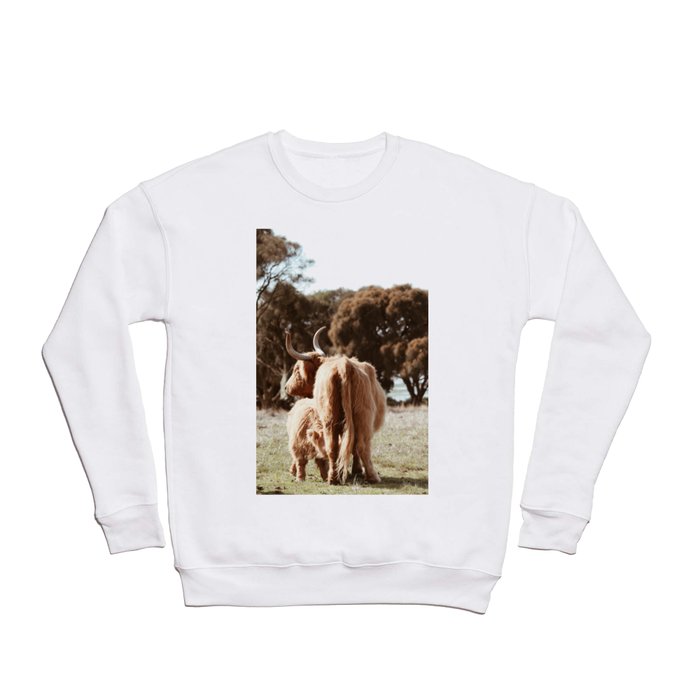 Highland Cow  Crewneck Sweatshirt