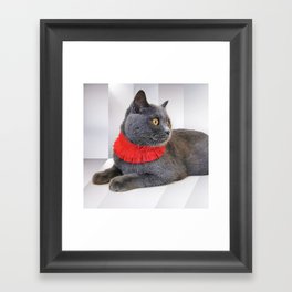 Shorthair Cat Staring At Something Interesting Framed Art Print