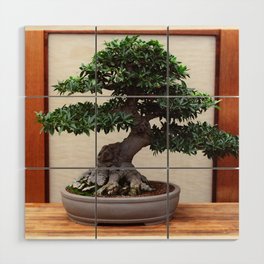 Bonsai Tree Wood Wall Art