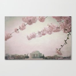 Washington DC Cherry Blossoms Canvas Print