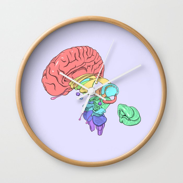 Exploded Anatomical Brain Wall Clock