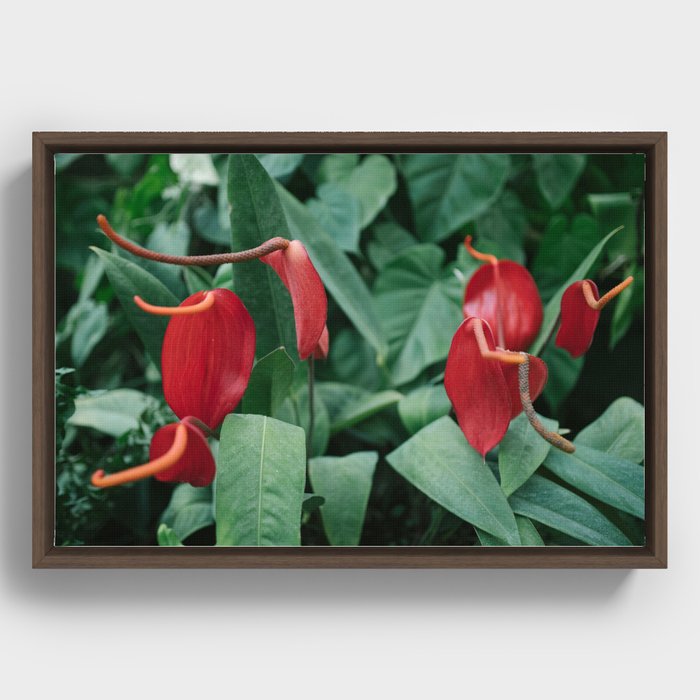 floral composition no. 1 Framed Canvas