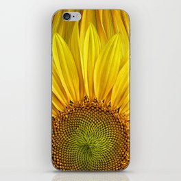 Sunflower Yellow Springs Ohio iPhone Skin