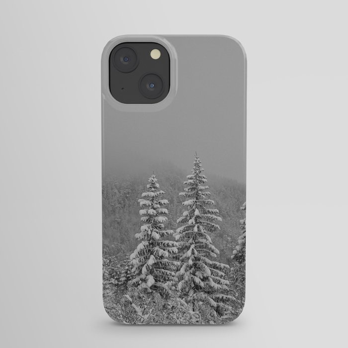 Snow2 iPhone Case