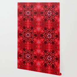 Romantic Red Dahlia single flower Wallpaper
