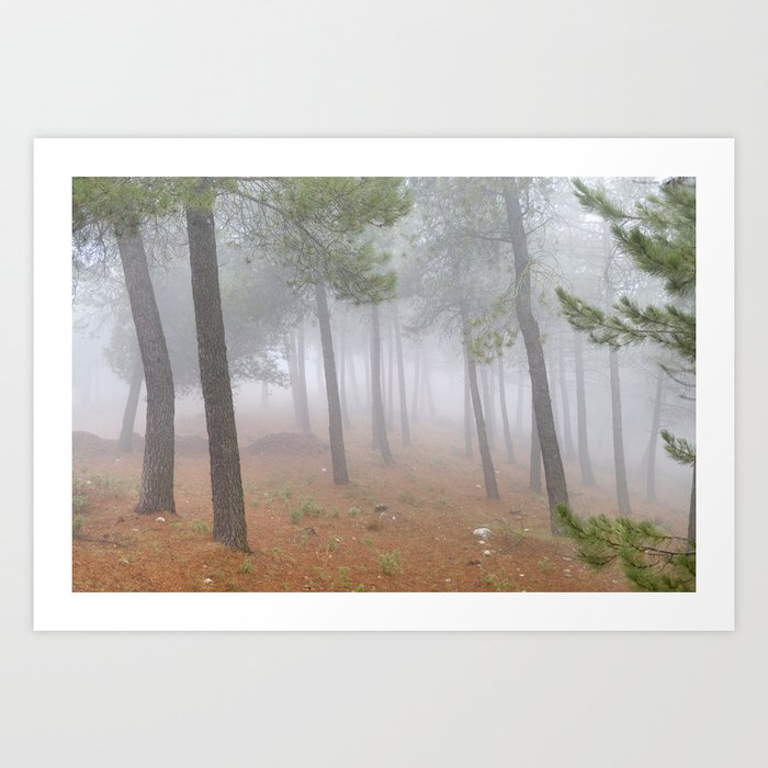 Dream Forest Ii Living In A Dream Art Print