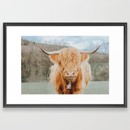 HIGHLAND COW Framed Art Print