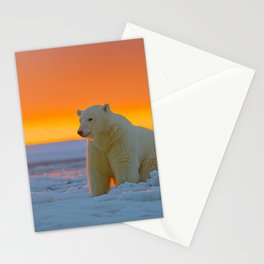 Sunset Polar Bear Stationery Card