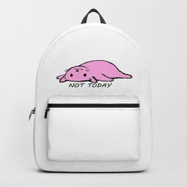 not today cat backpack