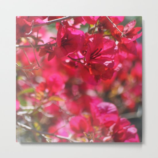 Flourish Metal Print