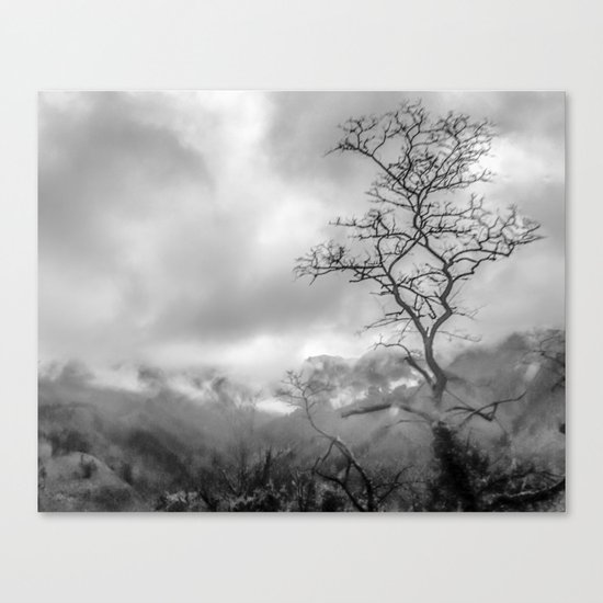 Mist in mountains Canvas Print