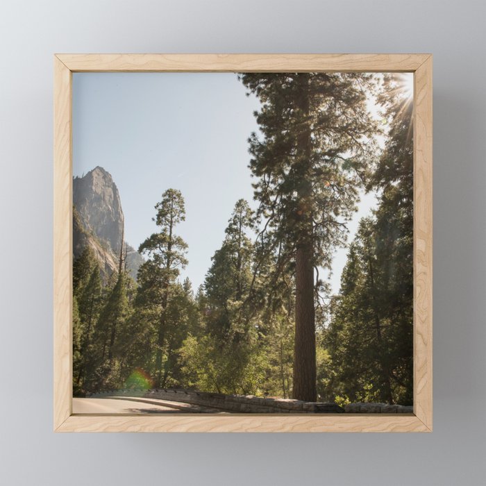 Bright sky and sunshine trough the trees with mountains | Yosemite National Park USA | Colorful travel photography print Framed Mini Art Print