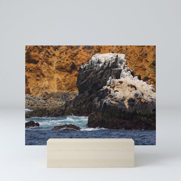 Sunbathing Sea Lions Mini Art Print