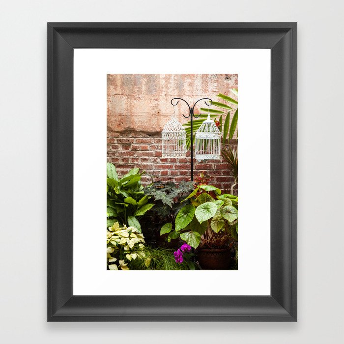 Begonia and Bird Cages Framed Art Print