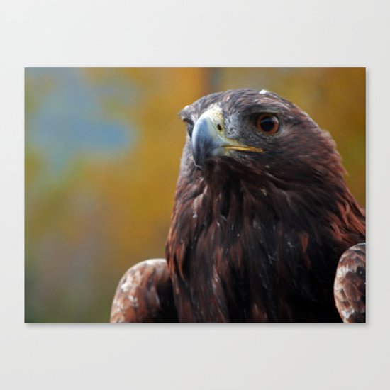 Warrior Canvas Print