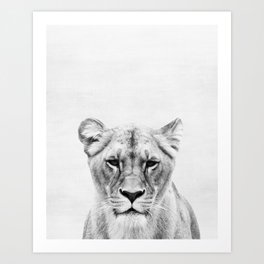Lioness Art Prints For Any Decor Style Society6