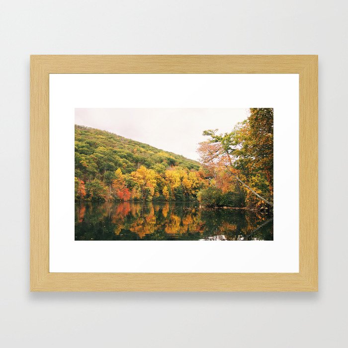 Seasons Framed Art Print