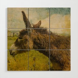 Vintage  cute brown donkey colt on the field Wood Wall Art