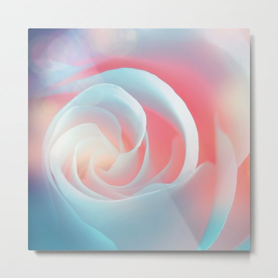 Rose flower and bokeh- Roses Metal Print