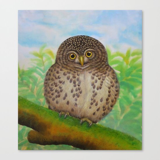 Collared Owlet Canvas Print