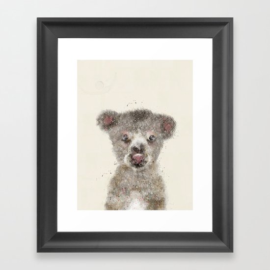 little koala Framed Art Print