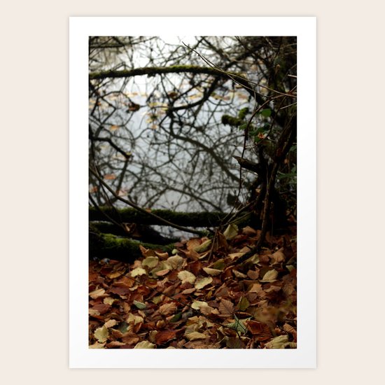Autumn River Art Print