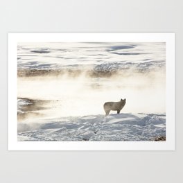 Yellowstone National Park - Wolf and Hot Spring Art Print
