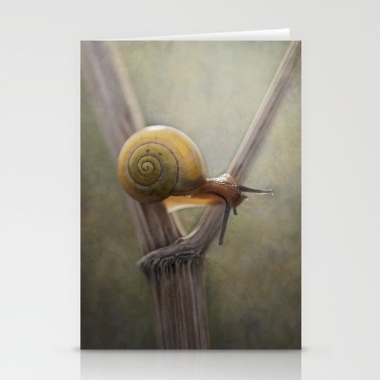 ' Y ' Stationery Cards