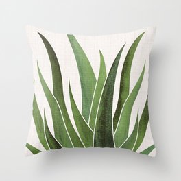 Desert Agave Succulent Illustration Throw Pillow