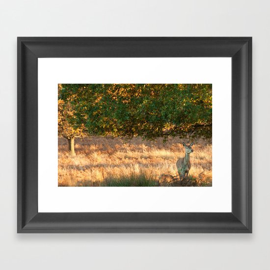 On The Watch Framed Art Print