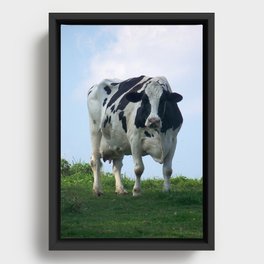 Vermont Dairy Cow Framed Canvas