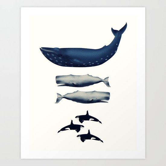 Whale Counting 123 Art Print