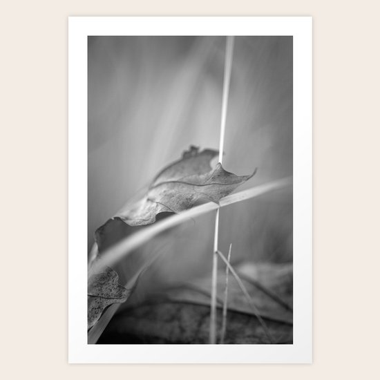 Loneliness II Art Print