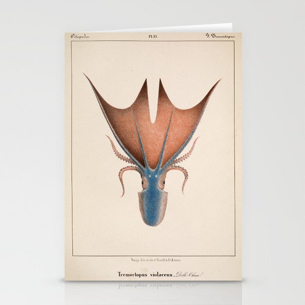 Art from "Mollusques Méditeranéens" by Jean Baptiste Vérany, 1851 (Benefitting The Nature Conservancy) Stationery Cards