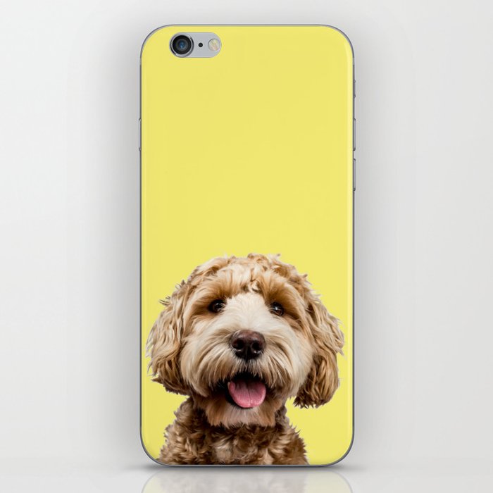 Happy Goldendoodle on Yellow Background iPhone Skin