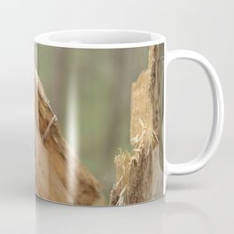 broken tree Coffee Mug