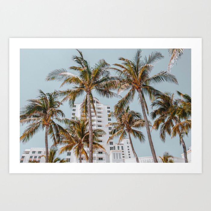 palm trees vii / miami beach, florida Art Print