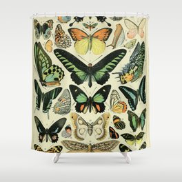 Butterflies Vintage Illustration Shower Curtain