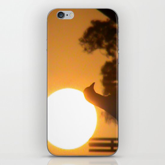 Pigeon Eclipse iPhone Skin