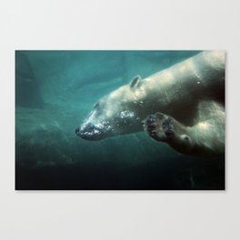 Polar Bear Waving Canvas Print