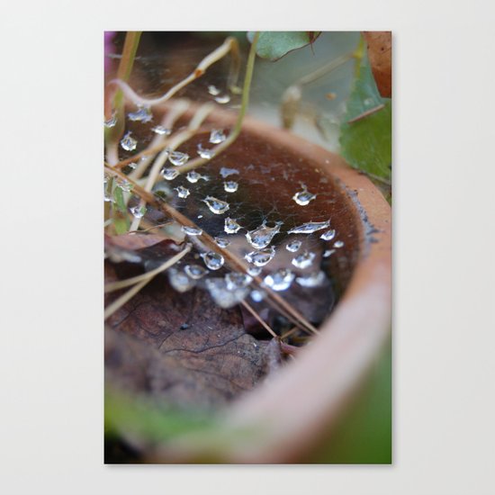 water's web Canvas Print